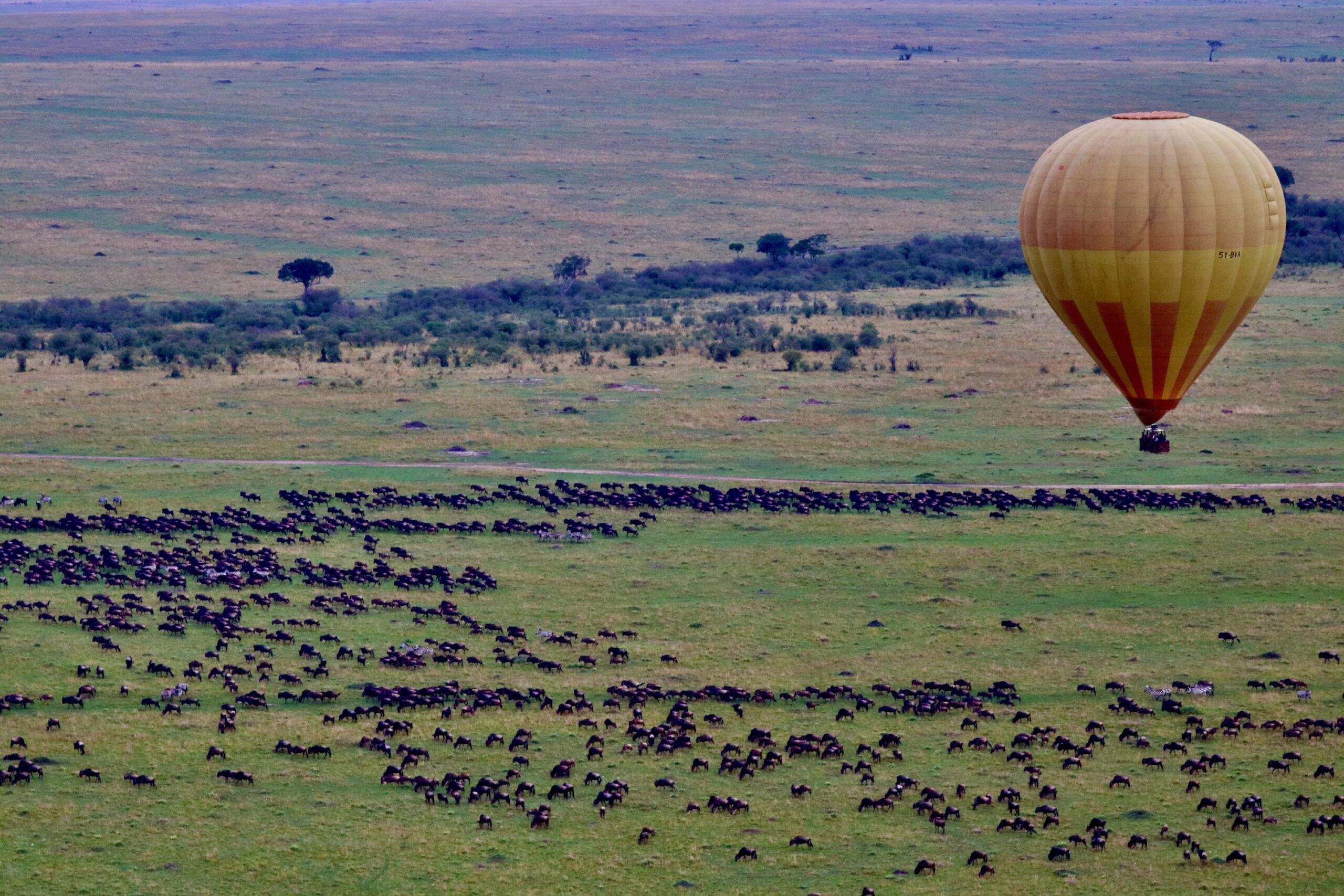 Best Affordable Kenya Safari Packages