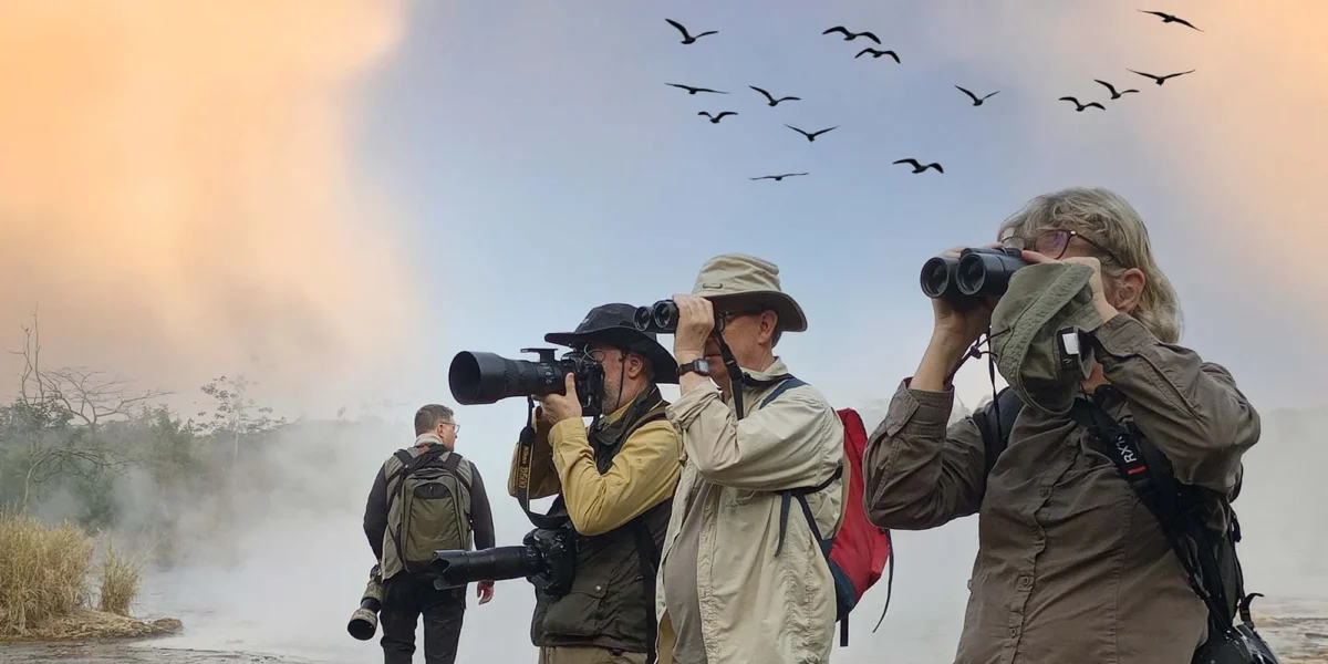 What Makes Uganda a Top Birding Destination?