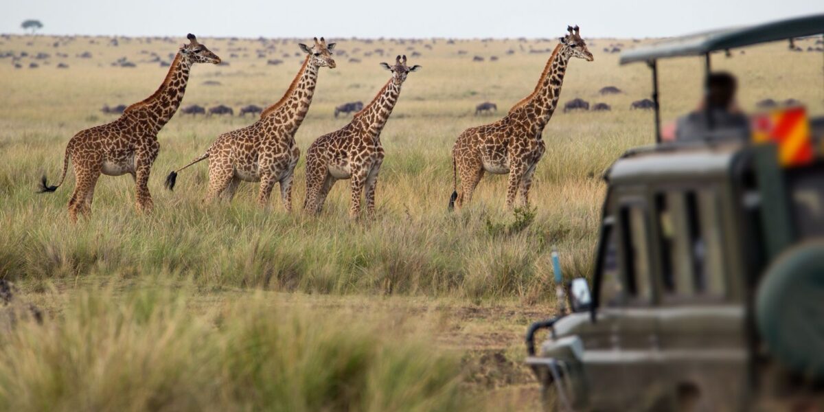 15-Day Grand East African Safari Adventure