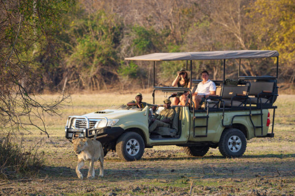 15-Day Luxury Kenya, Tanzania & Uganda Safari