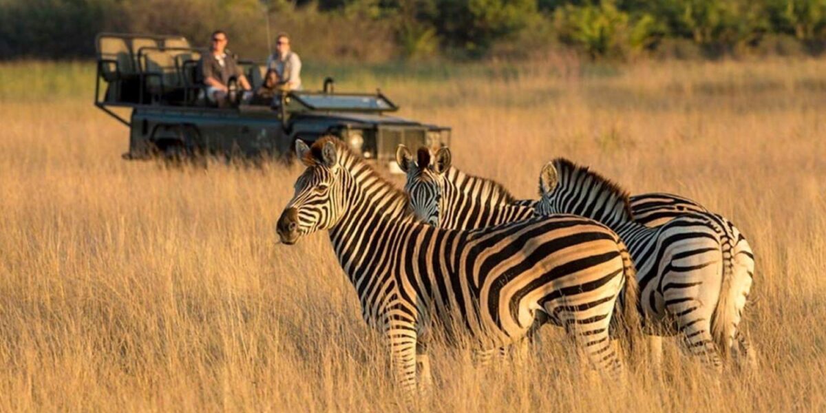 15-Day Ultimate Botswana Safari Adventure