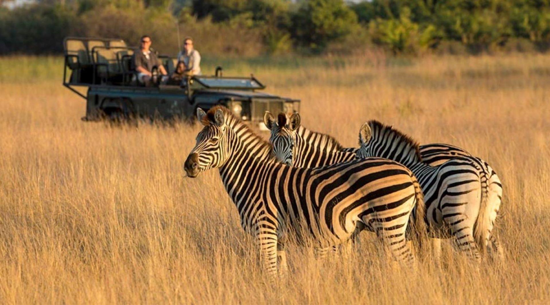 15-Day Ultimate Botswana Safari Adventure
