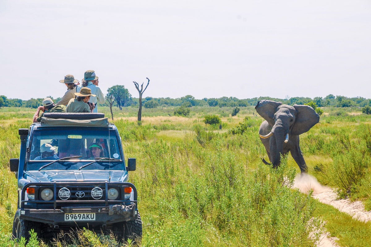 15 Days Botswana Uganda Safari
