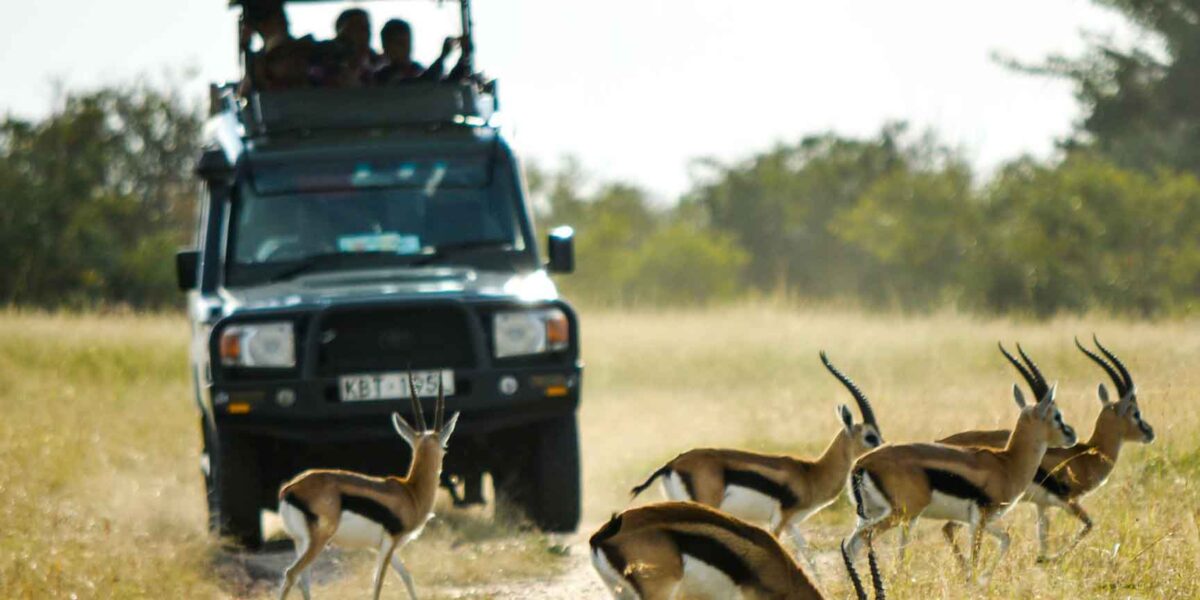 16-Day Kenya Uganda Luxury Safari Wildlife Holiday Experience