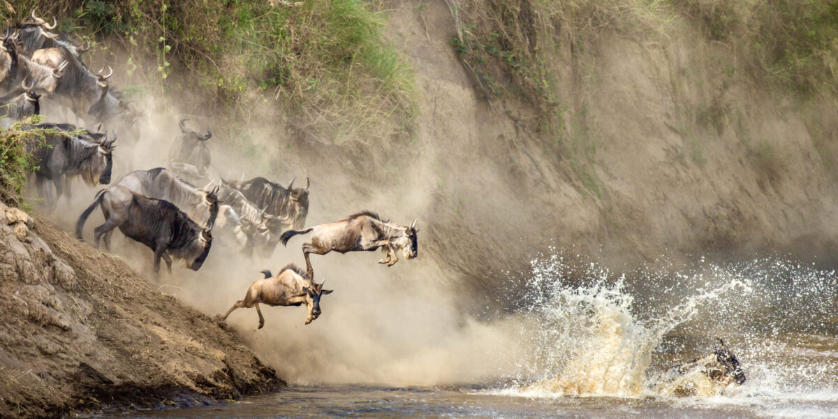 17 Days Uganda, Kenya & Tanzania Safari