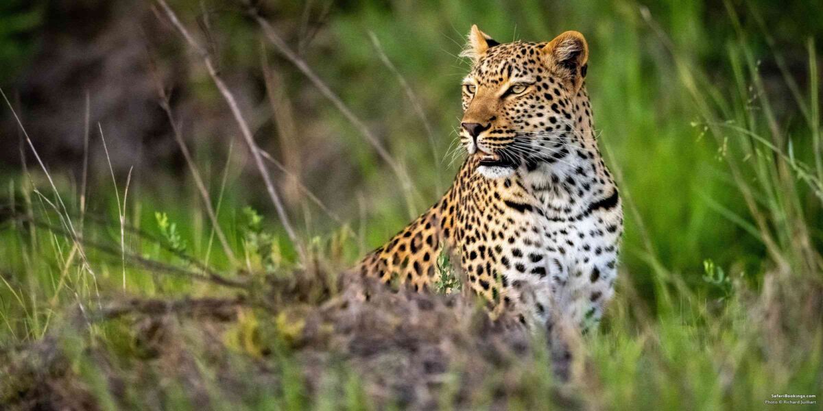 18-Day Best of East Africa Safari