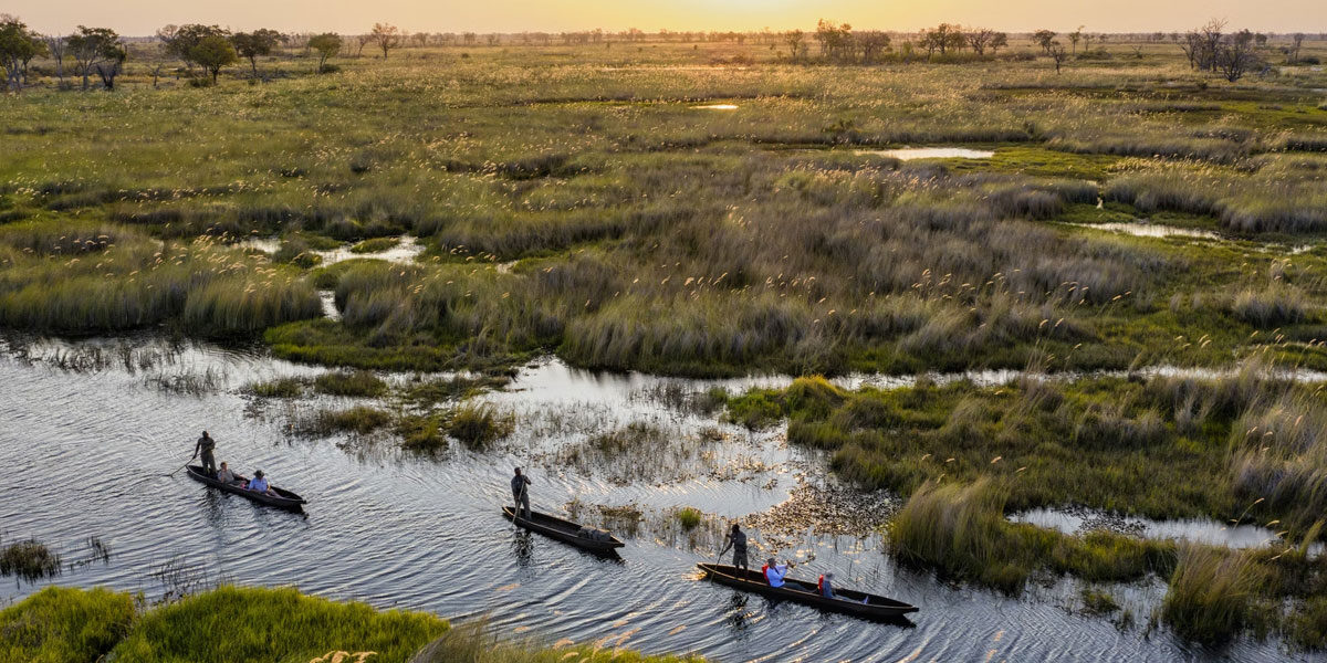 18-Day Botswana Wetlands Excursions & Uganda Primates Safari