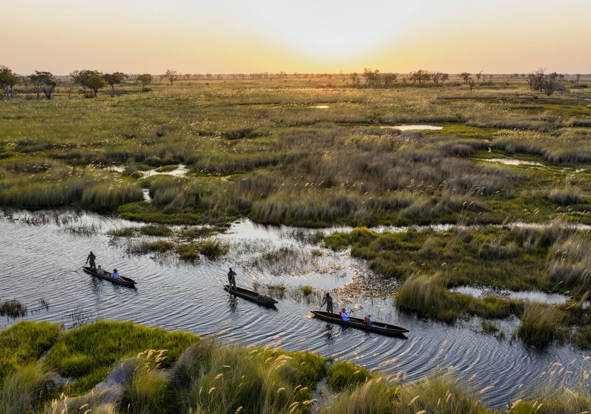 18-Day Botswana Wetlands Excursions & Uganda Primates Safari