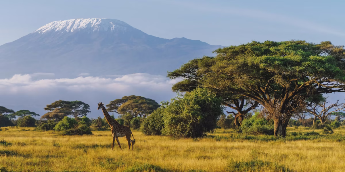 18-Day East Africa Safari Experience
