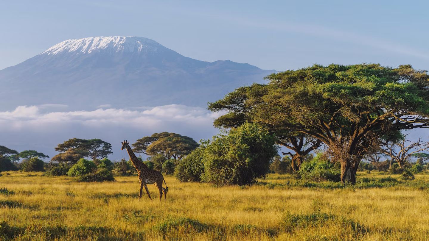 18-Day East Africa Safari Experience