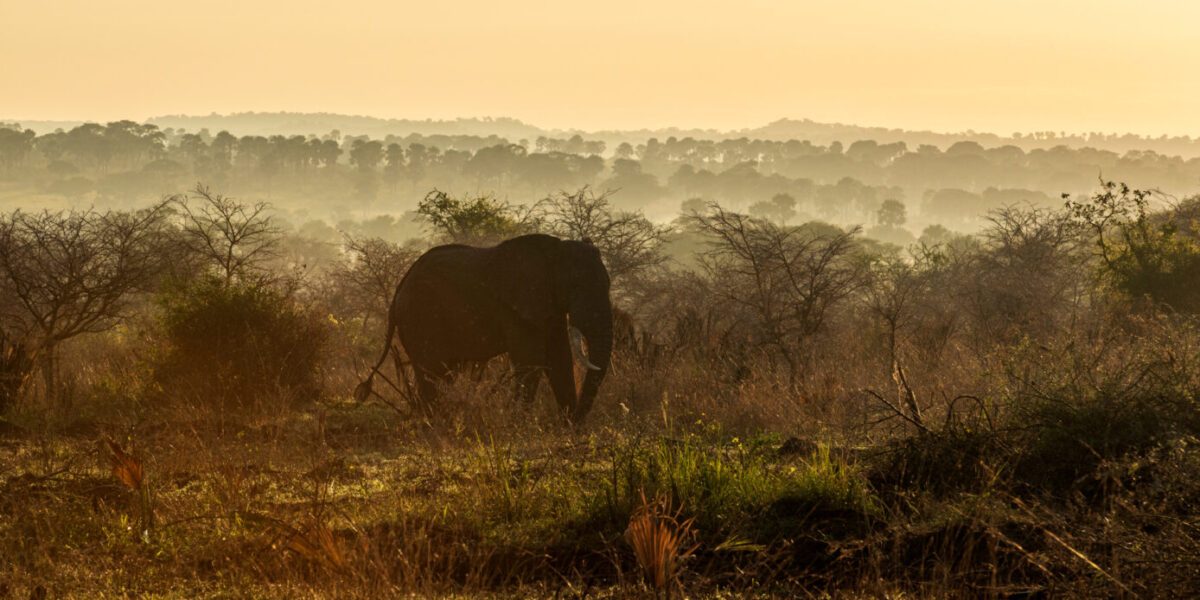 19 Days Signature East Africa Luxury Safari Expedition