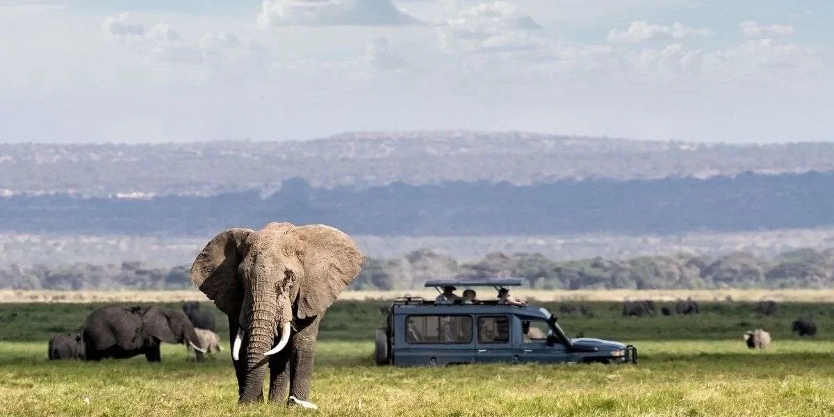 20 Days East Africa Safari Experience