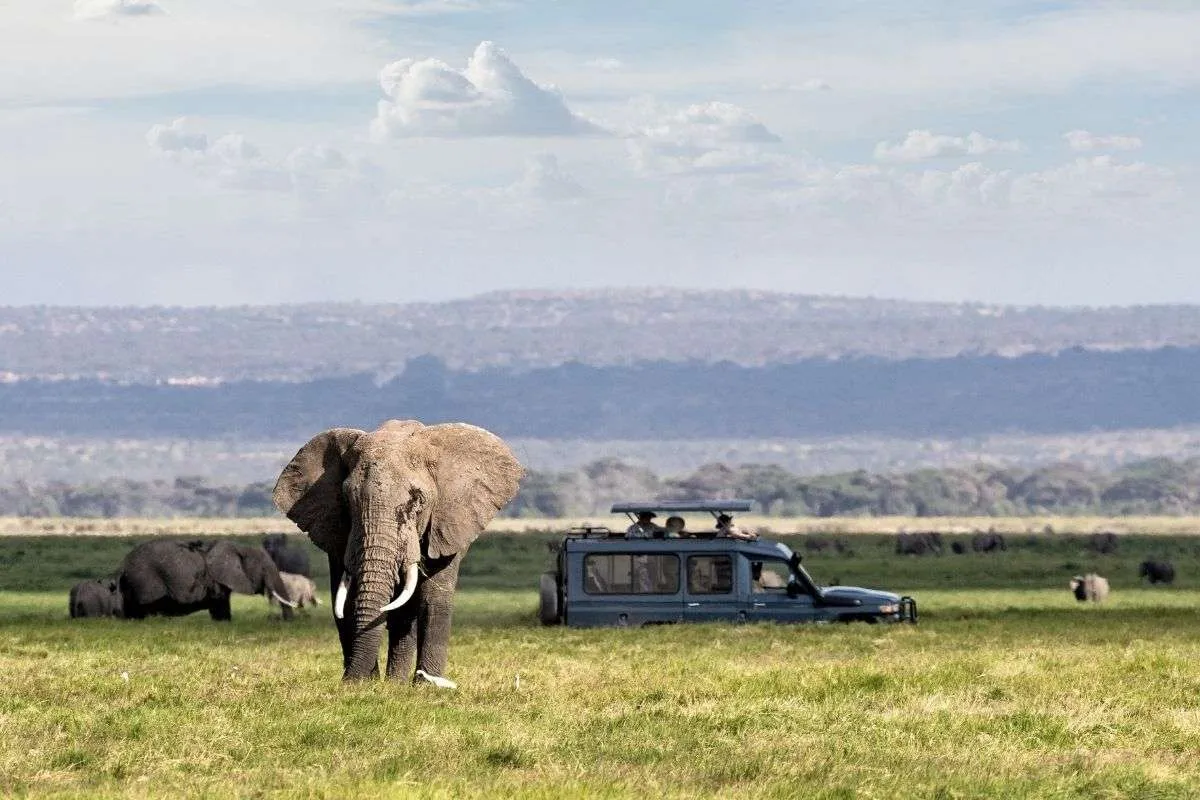 20 Days East Africa Safari Experience