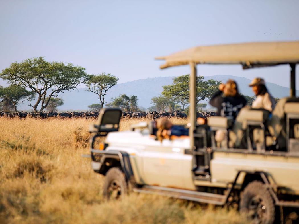 21-Days Kenya–Tanzania–Rwanda Luxury Safari
