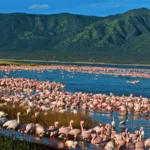 6 Days Kenya Great Rift Valley Safari Experience