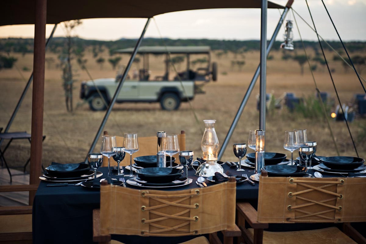 Guided Game Drives in Africa