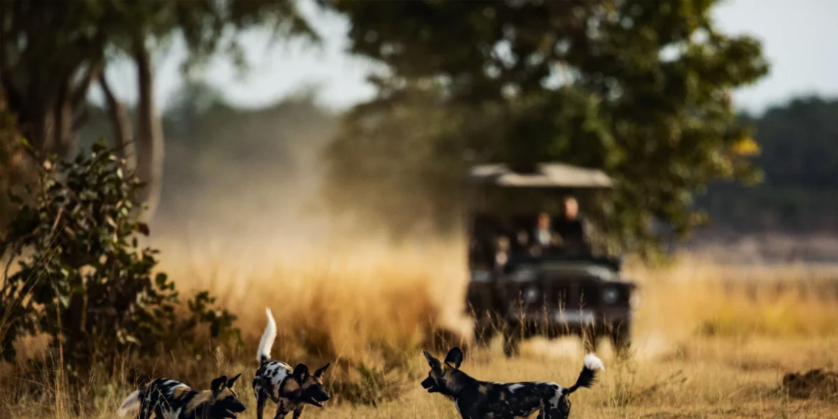 Ultimate 30-Day African Experiential Safari