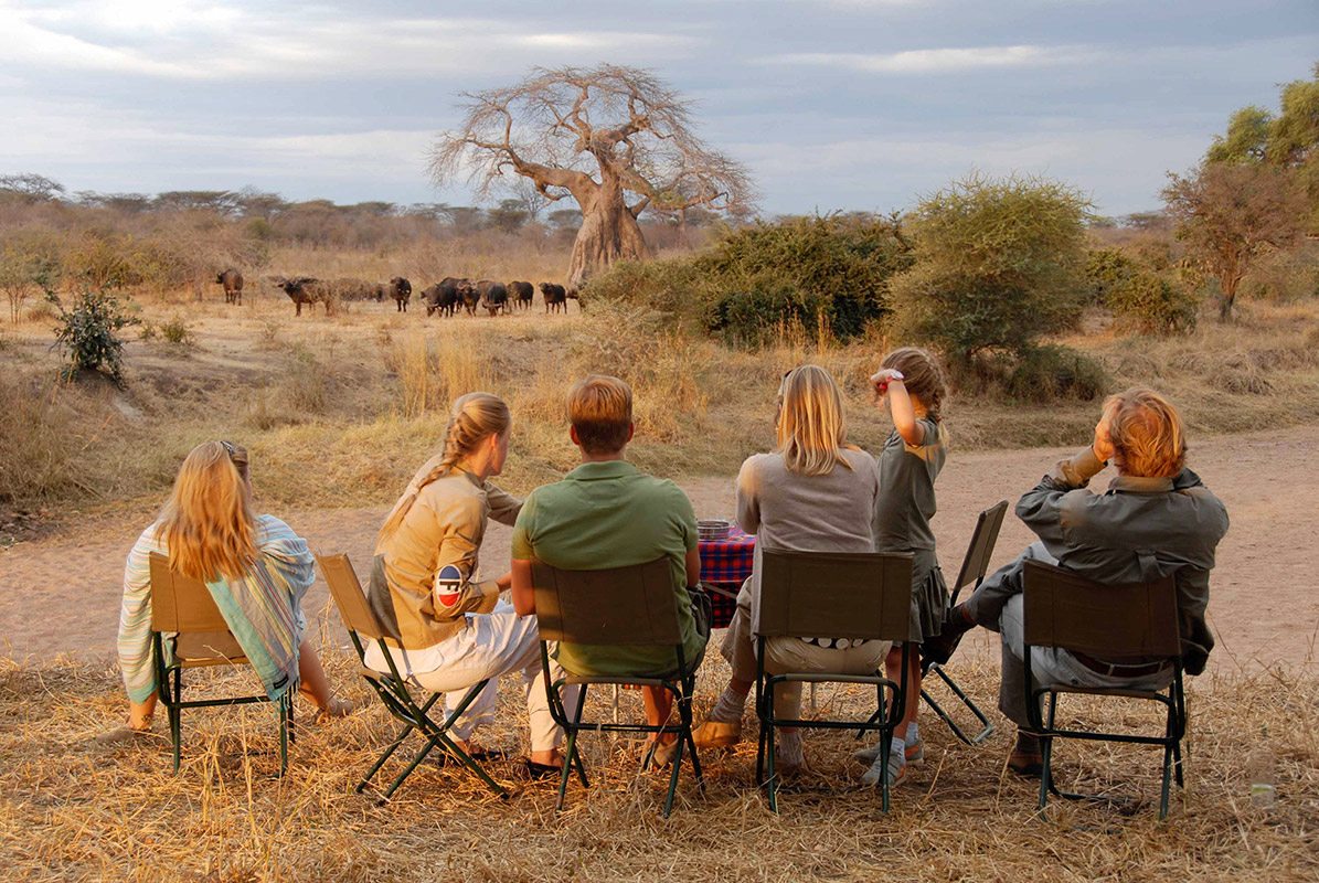 Ultimate 8-Day Namibia Safari Eco-Adventure in a Week