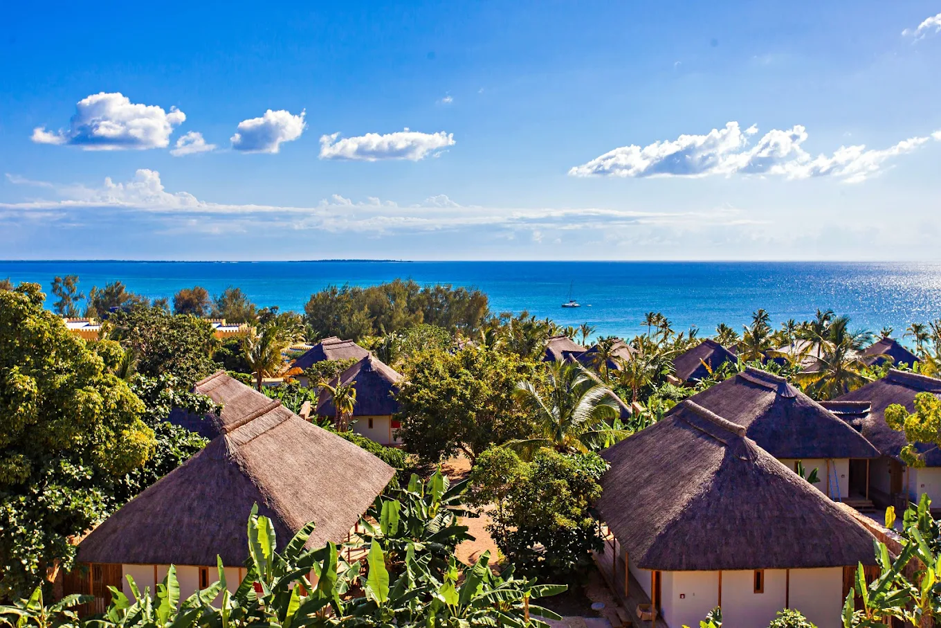 10-Day Tanzania Wildlife Safari