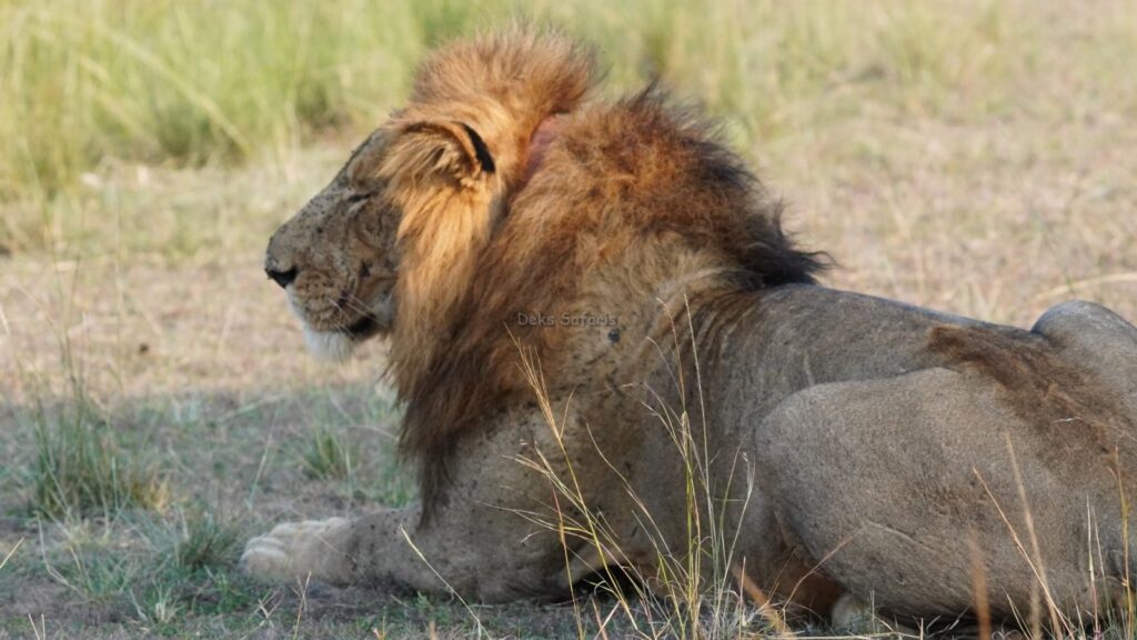 10 Days Kenya Big Five and Birds Safari