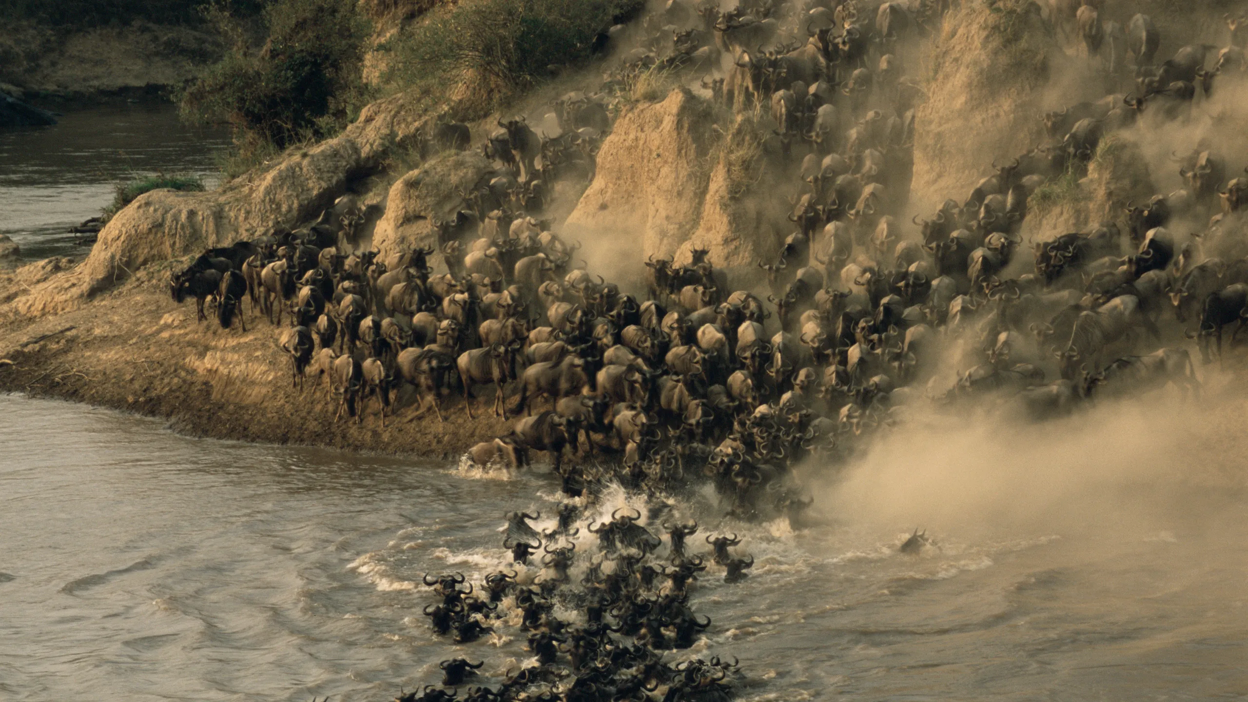 Zambia-Tanzania-Rwanda Luxury Safari