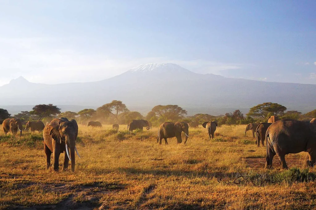 12 Days Kenya Classic and Northern Safari