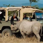 12 Days Kenya Conservation Experience