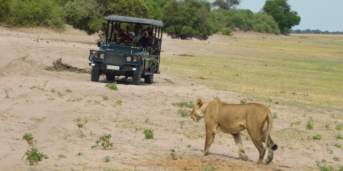 14-Day Rwanda & Namibia Safari Adventure