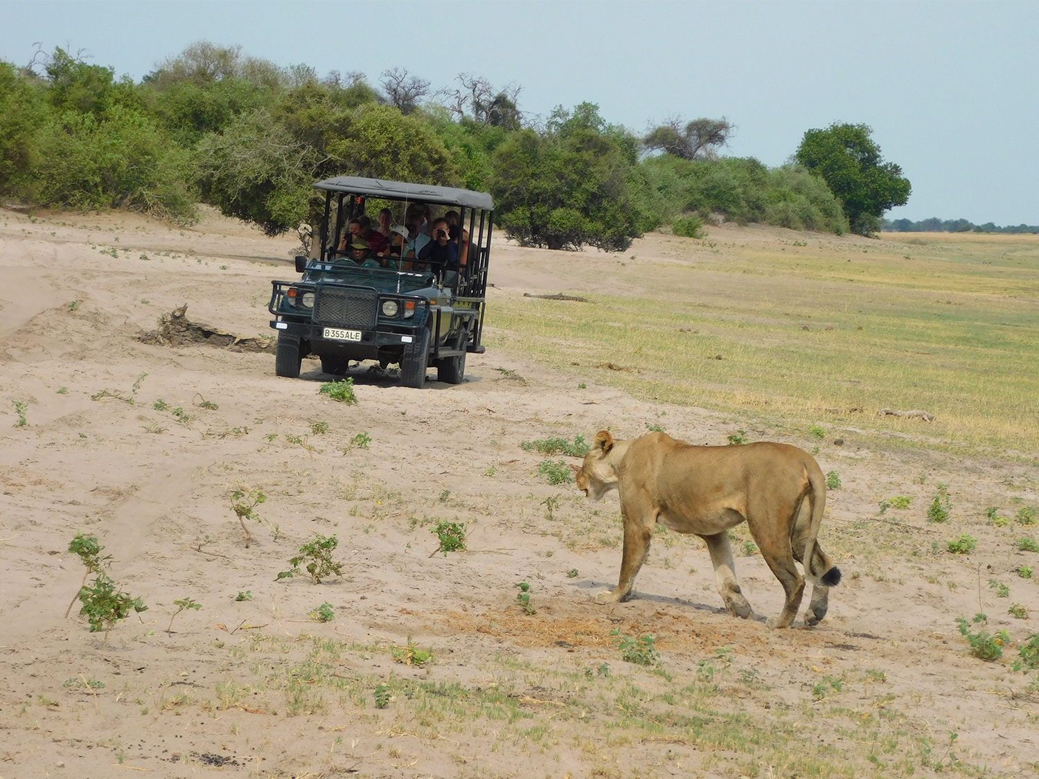 14-Day Rwanda & Namibia Safari Adventure