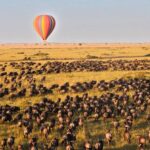 9 Days Masai Mara Migration Safari