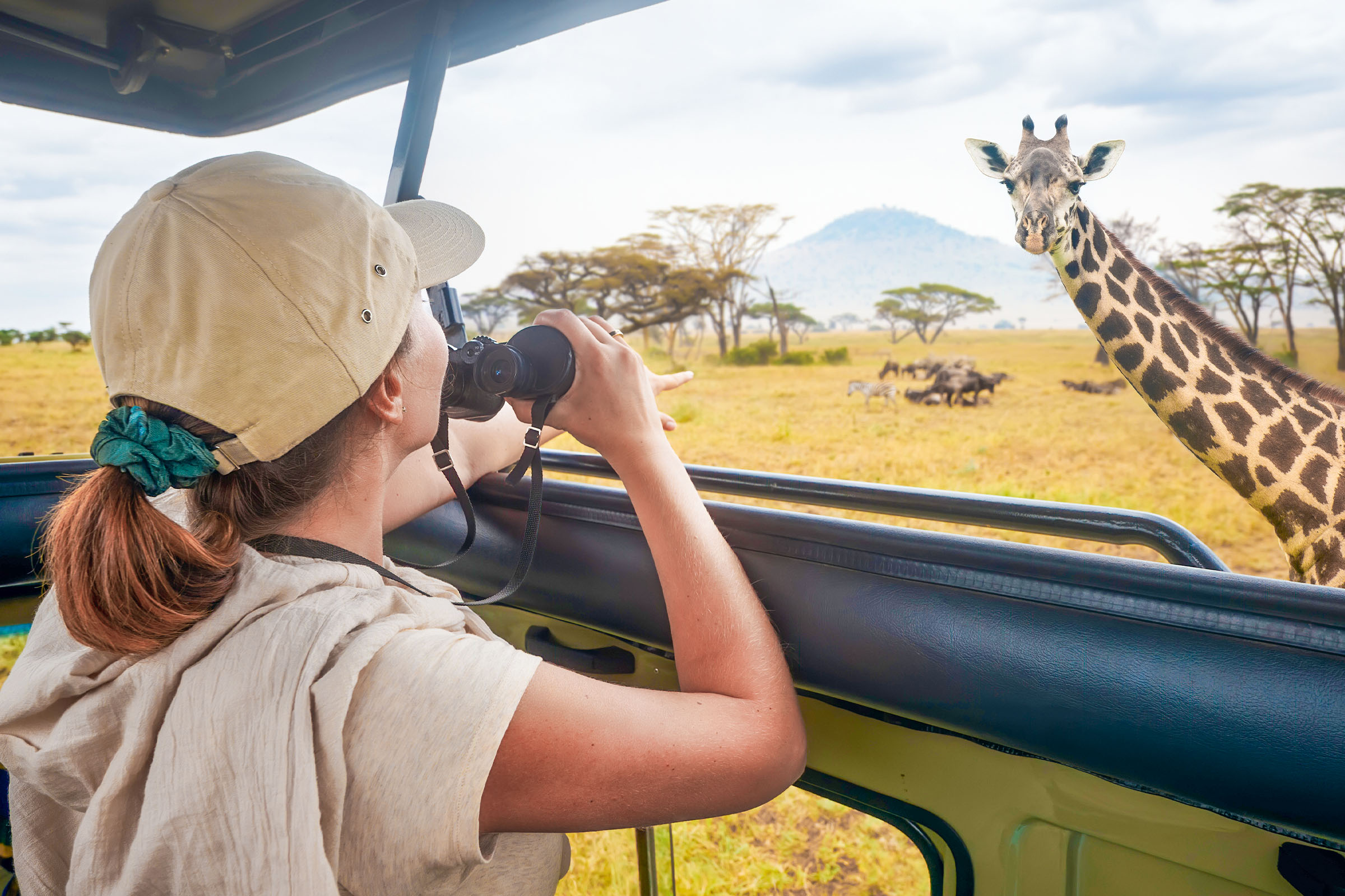 Zambia Safaris
