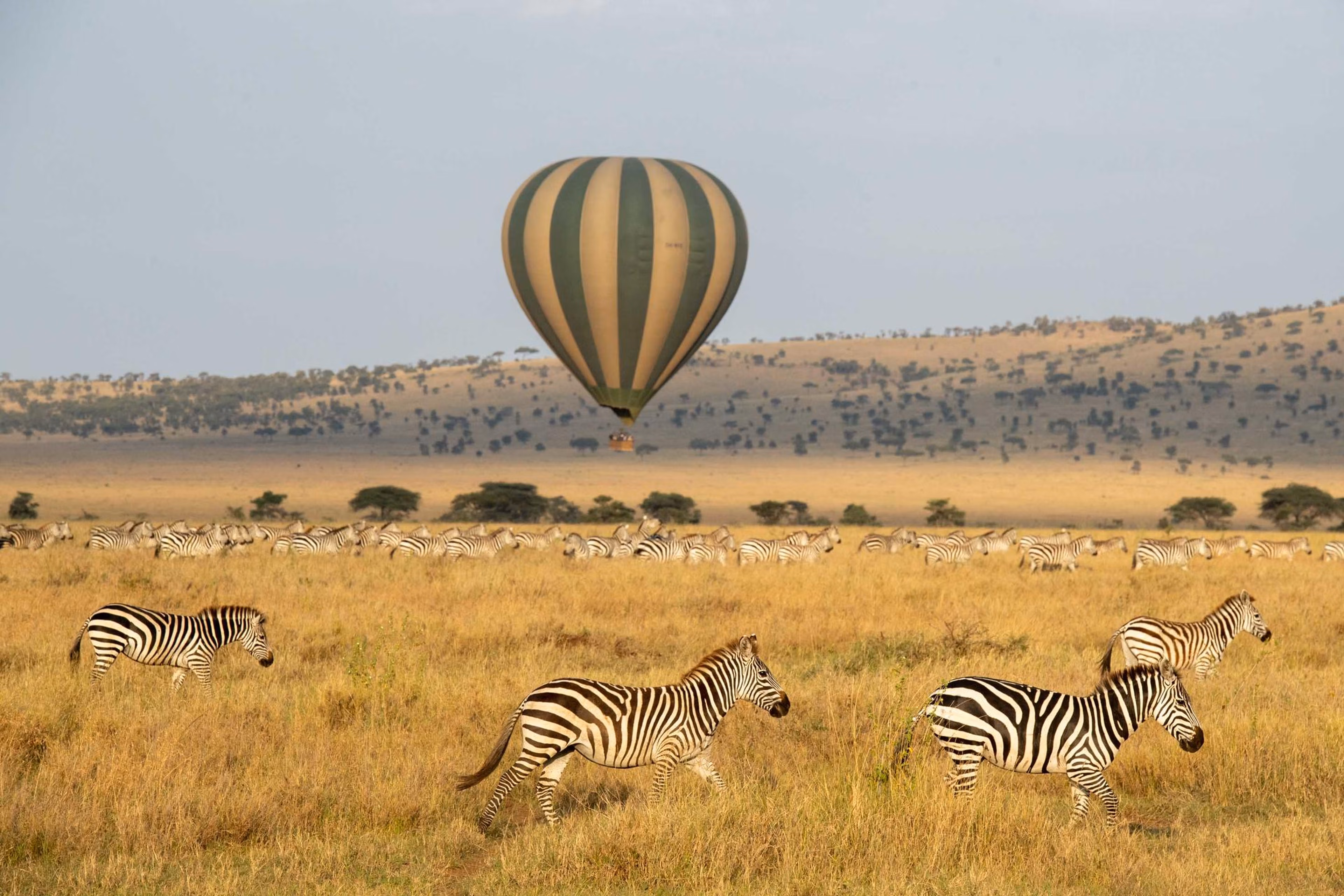 How Long Does a Balloon Safari Last?