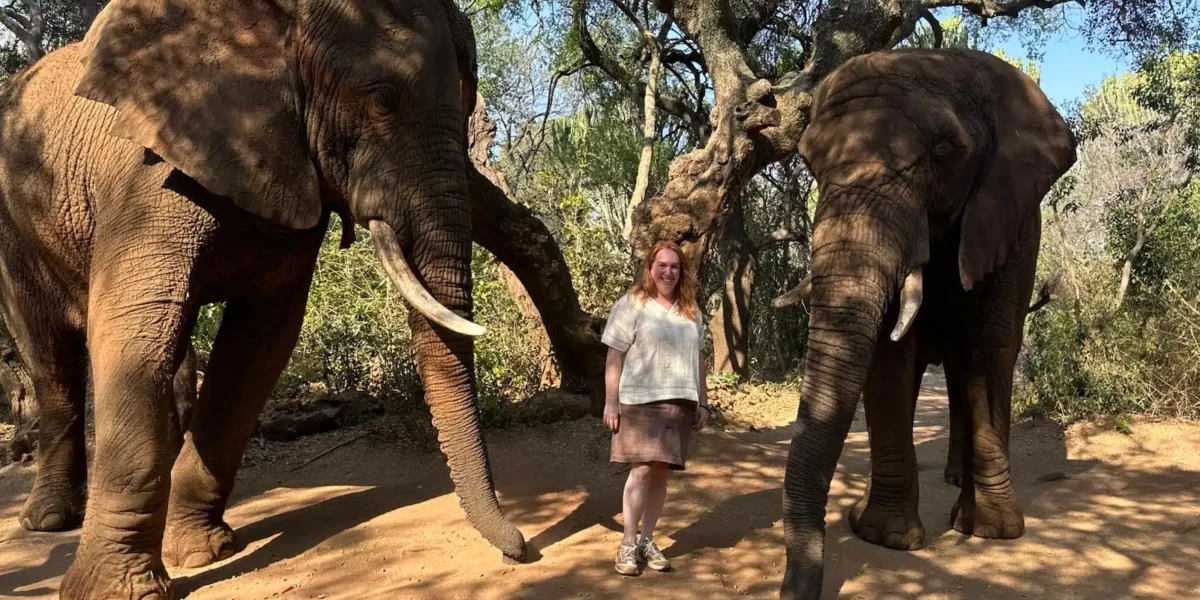 Safaris Suitable for Solo Travelers