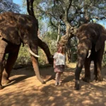 Safaris Suitable for Solo Travelers