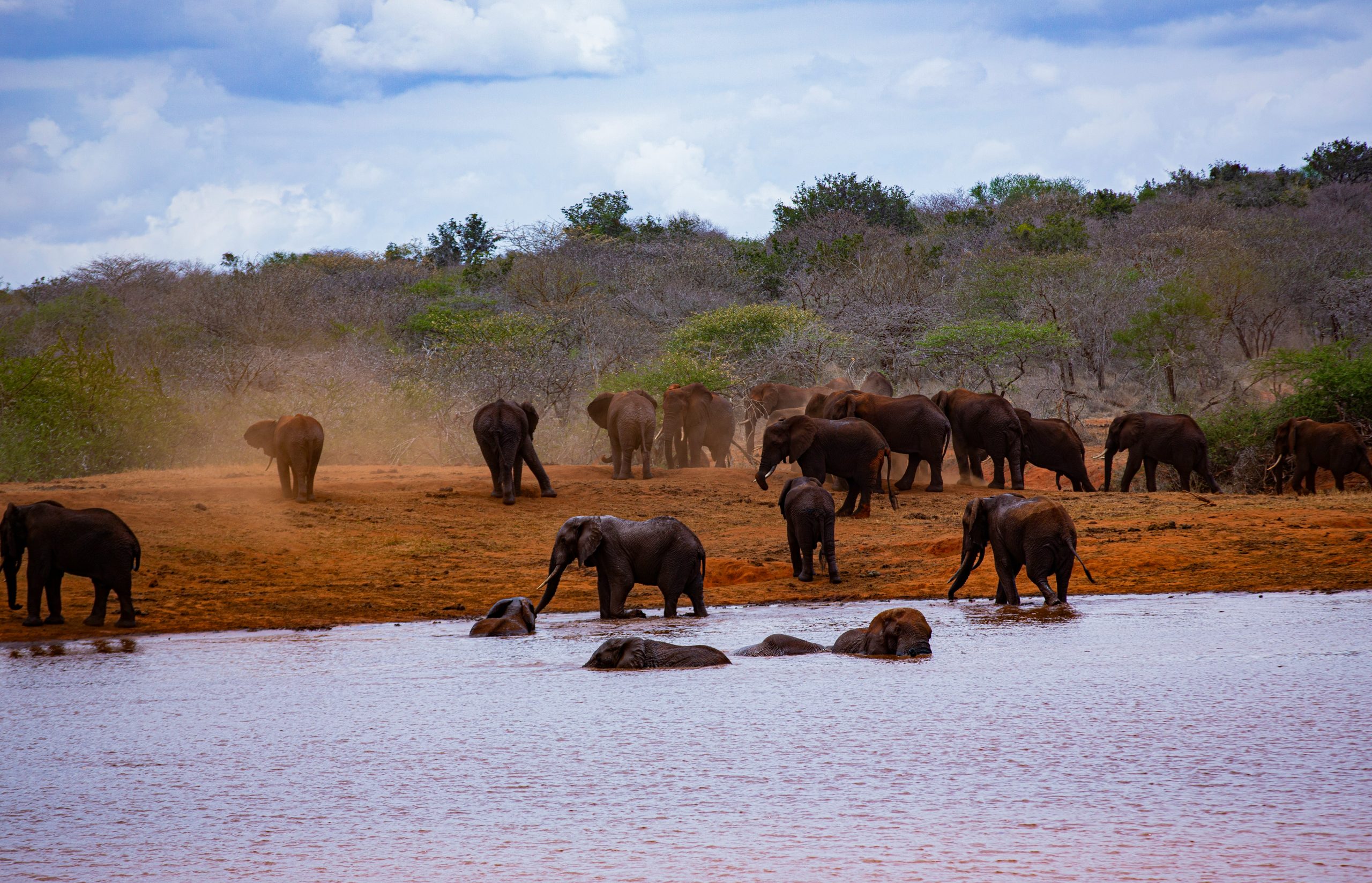 14 Days Namibia Uganda Safari