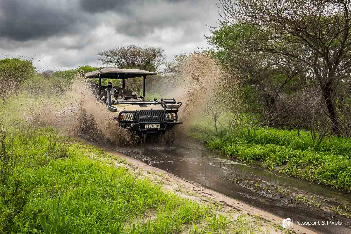 Guided Game Drives in Africa