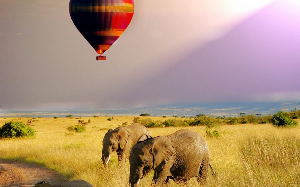 Where Can I Do Hot Air Balloon Safaris in Tanzania?