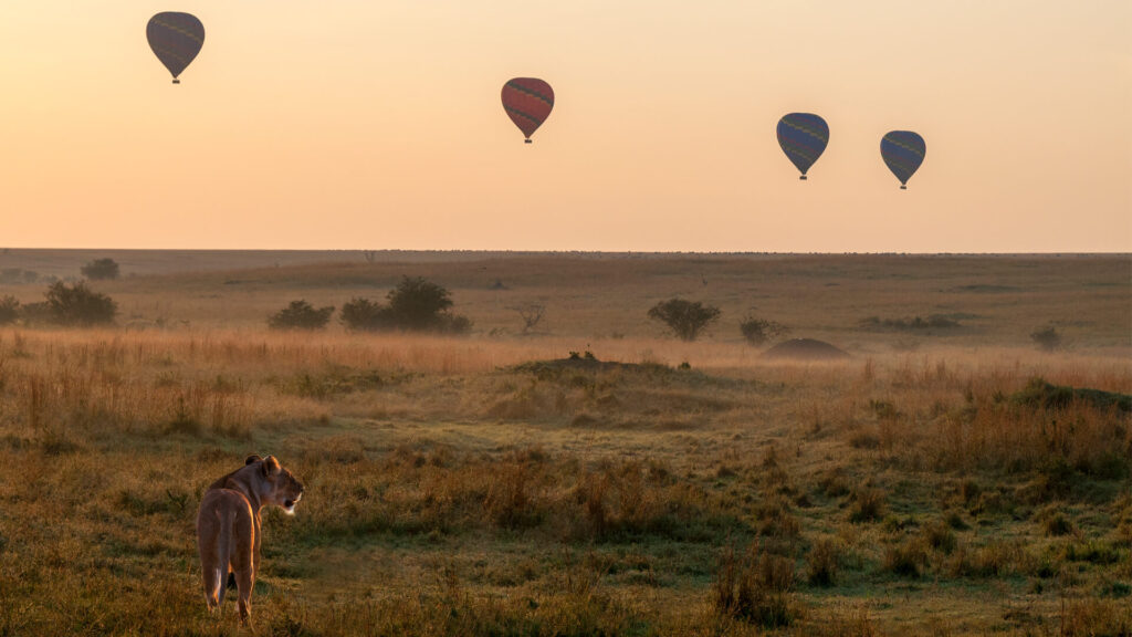 Is a Balloon Safari Safe?