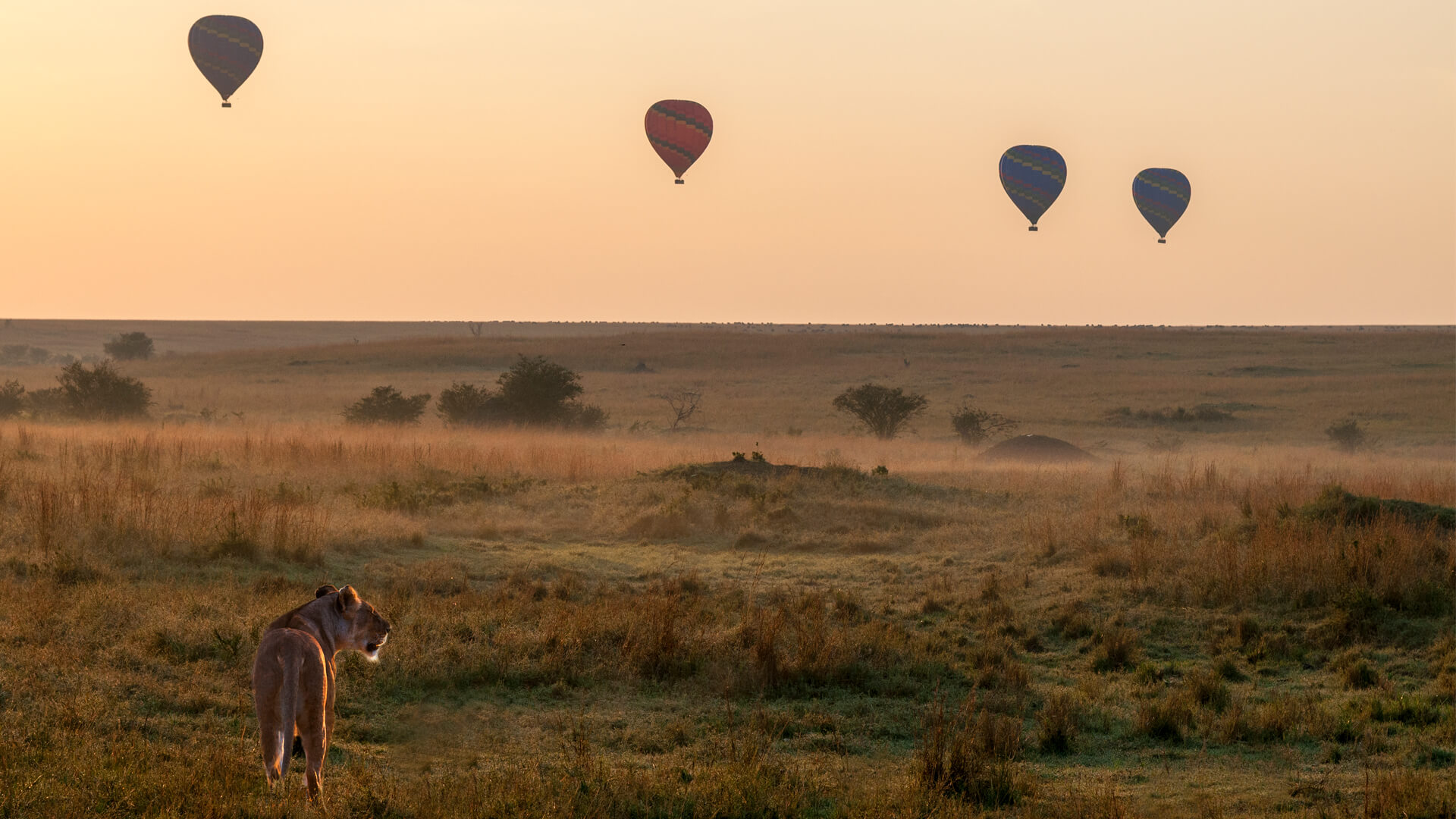 Namibia Safaris