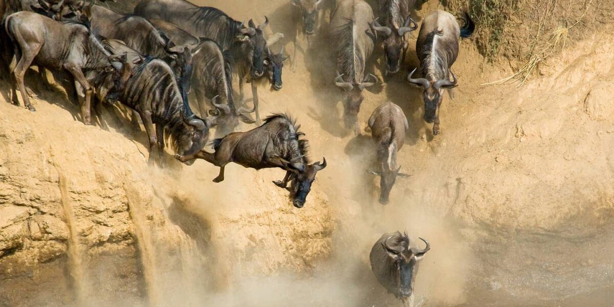 Great Migration Safaris in Serengeti National Park