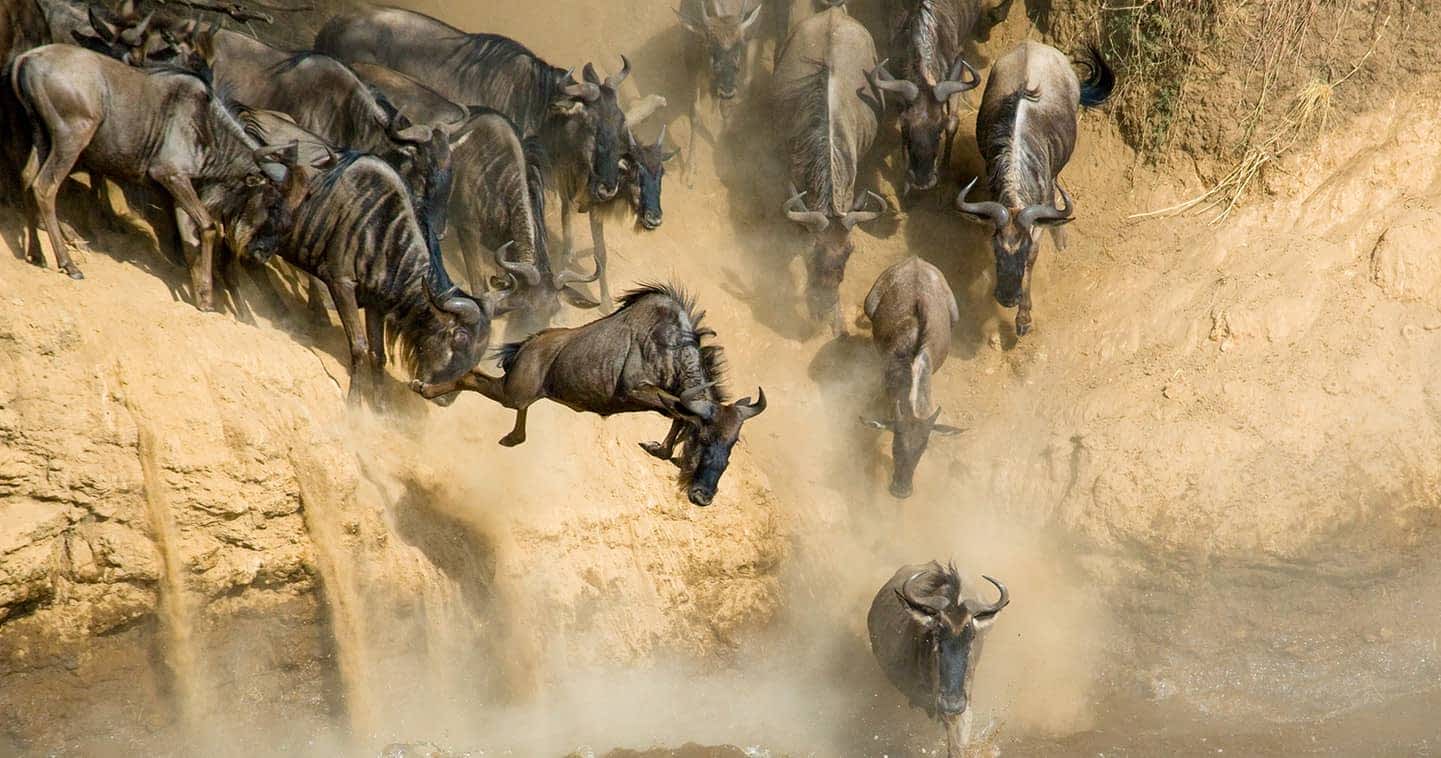 Great Migration Safaris in Serengeti National Park