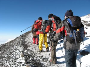 Hiking Safaris in Mount Kilimanjaro National Park