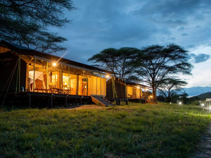 Kenzan Tented Camp