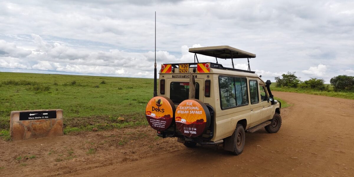 Kenya Wildlife Safaris