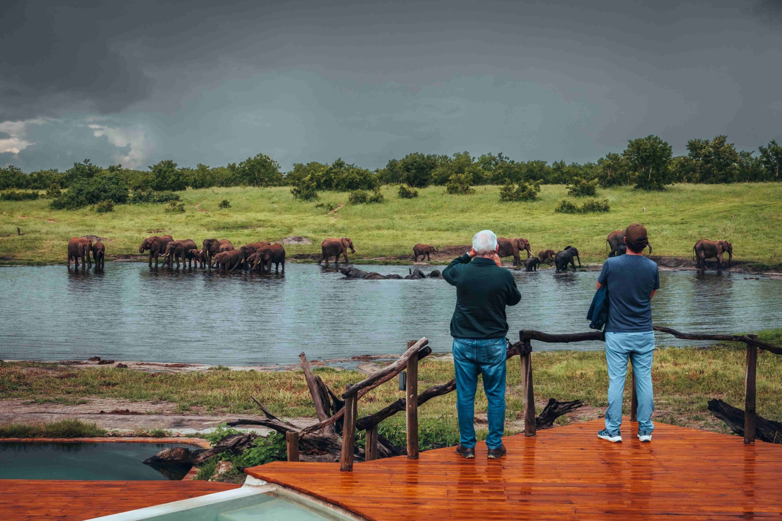 Zimbabwe Wildlife Safaris