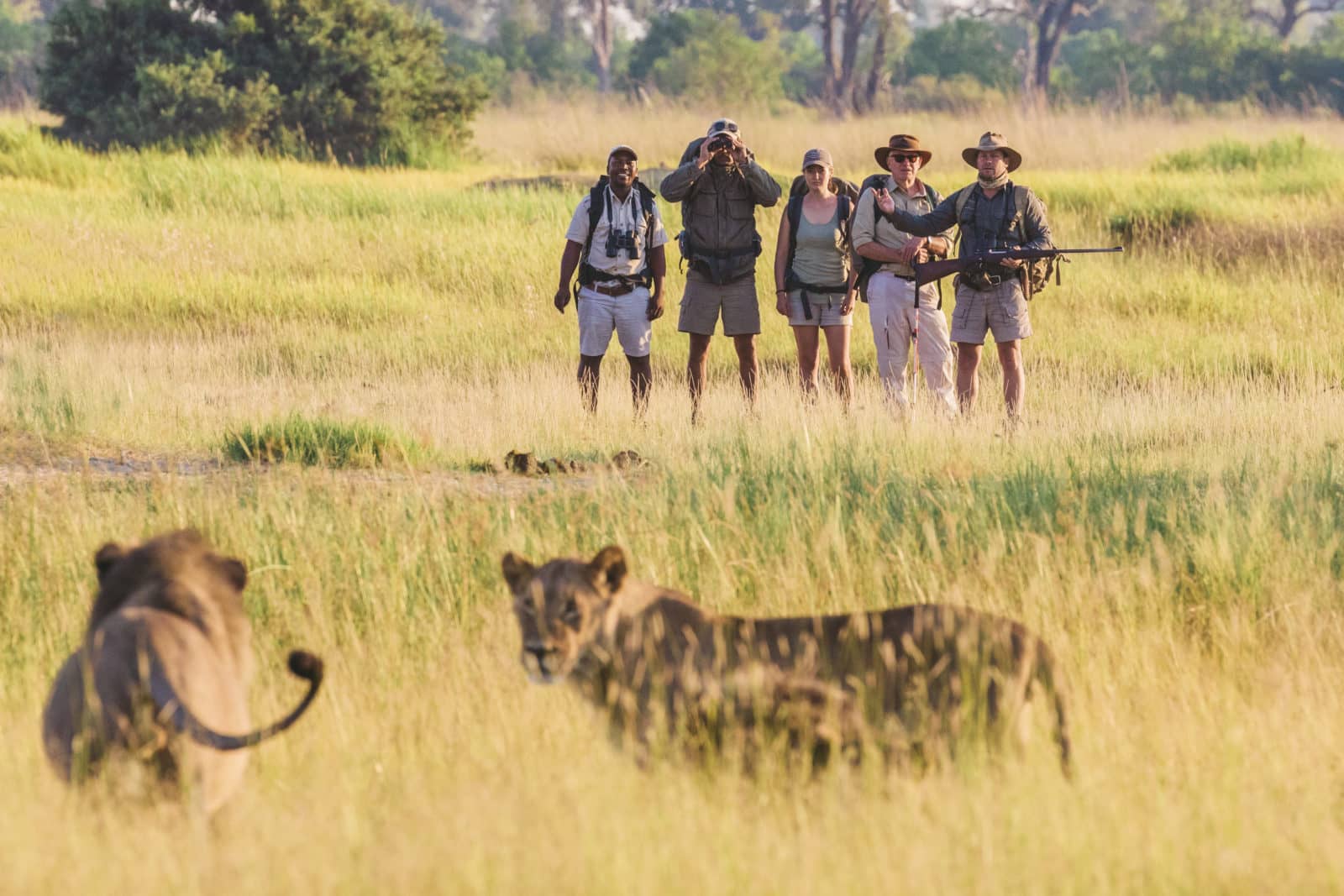 botswana walking safaris