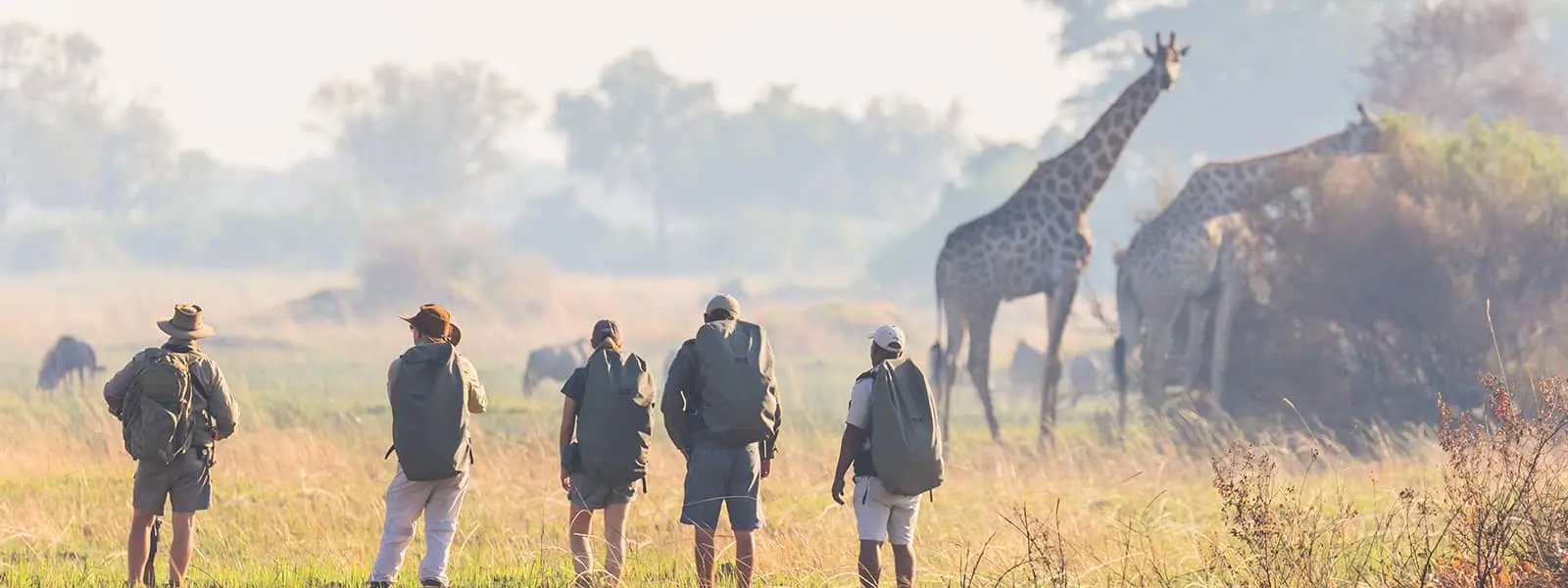 botswana walking safaris