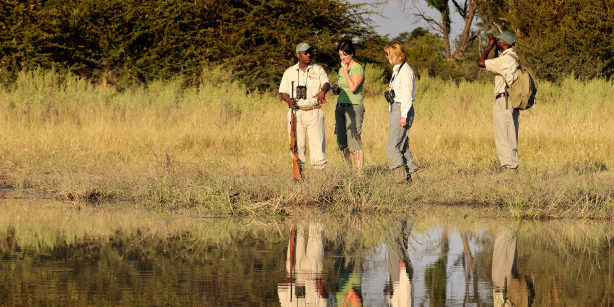 Zimbabwe Walking Safaris