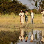 Zimbabwe Walking Safaris
