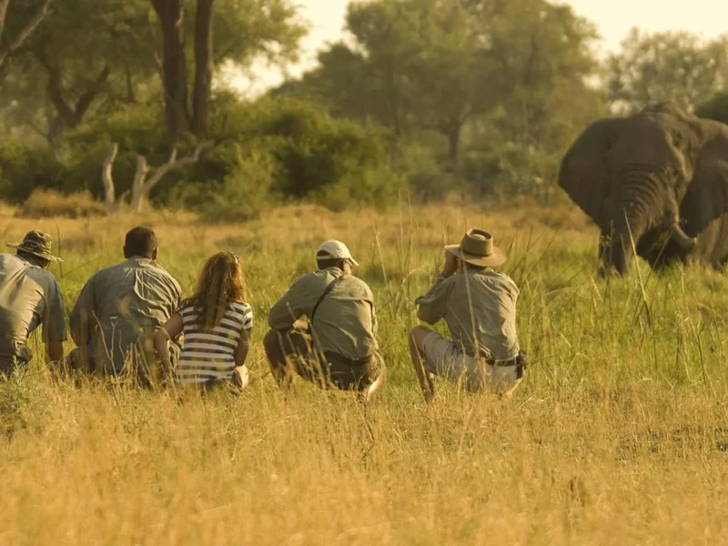 botswana walking safaris 2 botswana walking safaris